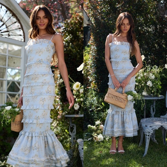 V. CHAPMAN Geranium Midi Dress in Victorian Blue Roses Sz 6 - Picture 1 of 7